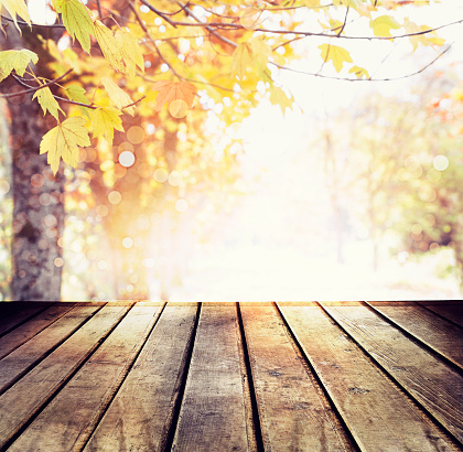 Empty wooden table for product display autumn theme