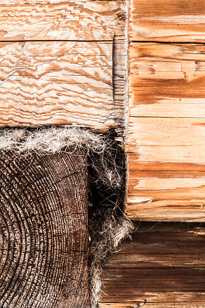 parte del vecchio edificio in costruzione registro - oakum foto e immagini stock