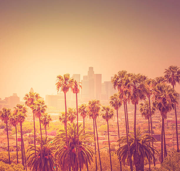 istock Downtown Los Angeles photographed at sunset 517185901