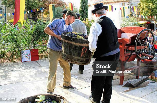 Harvesting Grapes Stock Photo - Download Image Now - Vintner, France, Winemaking