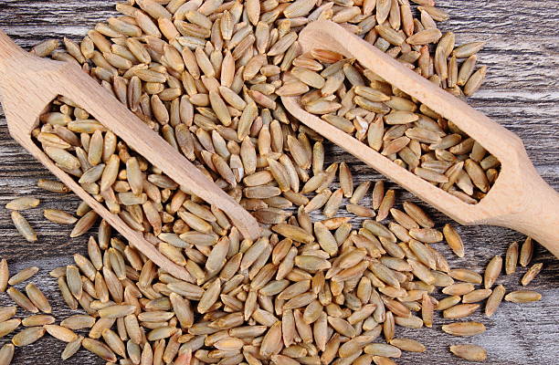 istock Rye grain with spoon on wooden background 517187896