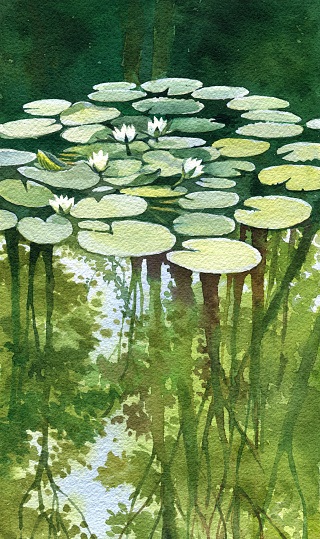 Pond with lilies, watercolor painting