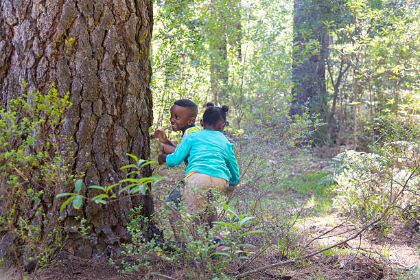 istock Brother and sister playing hide and seek 517194343