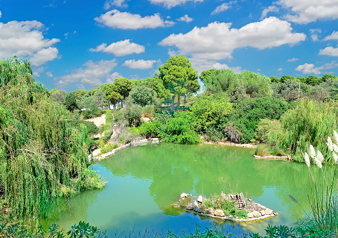 green pond on a clody day