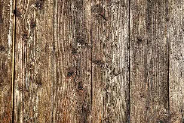 Photo of hdr wood