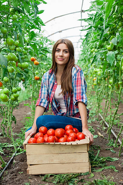 istock Young smiling agriculture woman worker 517195983