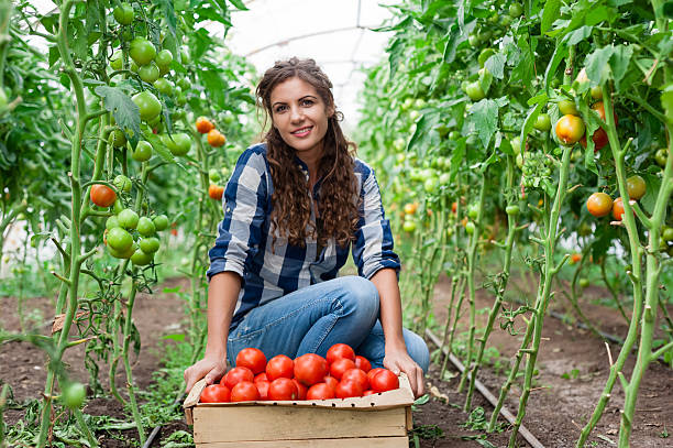 istock Young smiling agriculture woman worker 517196937
