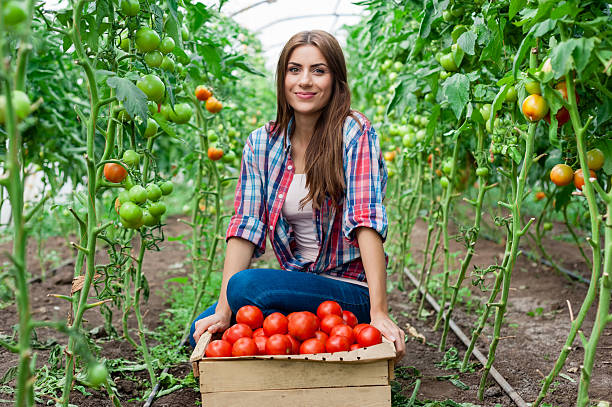 istock Young smiling agriculture woman worker 517196947