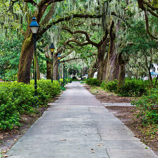 istock Forsyth Park in Savannah, GA 517196993