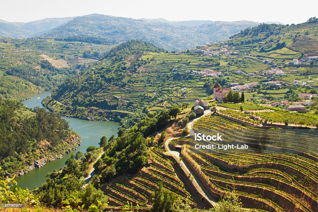 vineyards douro stream Image captured from the road some kilometers to the west of Oporto, the image shows the river Douro and his vinyards. Douro Valley Stock Photo