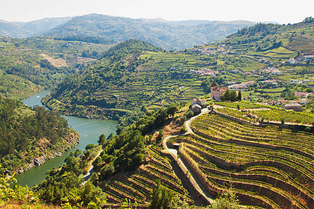 vineyards douro stream Image captured from the road some kilometers to the west of Oporto, the image shows the river Douro and his vinyards. country geographic area photos stock pictures, royalty-free photos & images