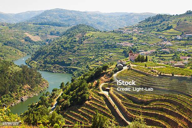 Vineyards Douro Stream Stock Photo - Download Image Now - Douro Valley, Douro River, Portugal