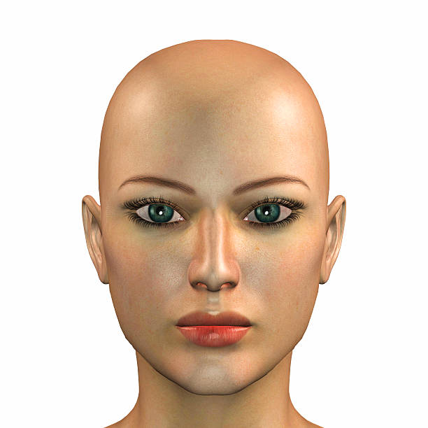 Illustration of the face of a caucasian female stock photo