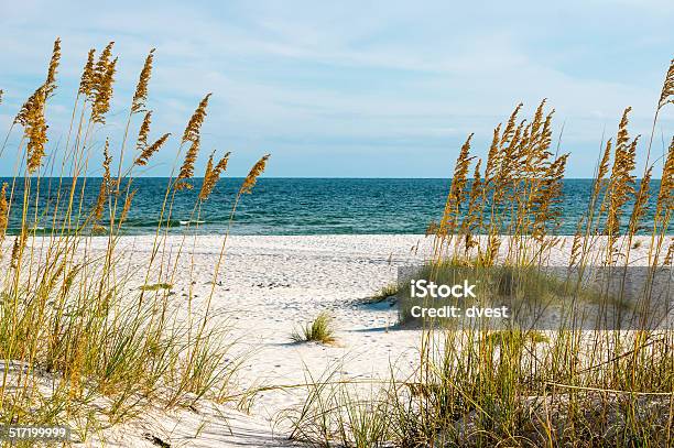 Gulf Coast Stock Photo - Download Image Now - Alabama - US State, Beach, Bay of Water