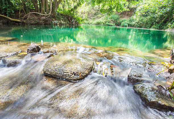 Tranquility waterfalls in forest Tranquility waterfalls in forest bush land natural phenomenon environmental conservation stone stock pictures, royalty-free photos & images