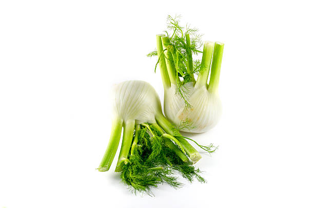 istock Fresh fennels on a white background 517200917