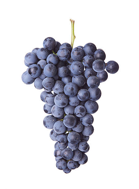 istock Fresh bunch of red wine 517201233