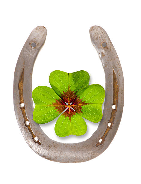 istock horseshoe as talisman for new year 2015 517201731