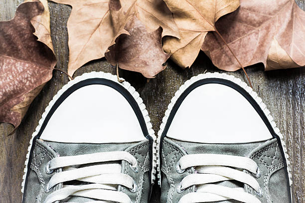 istock Sneakers and autumn leaves 517216363