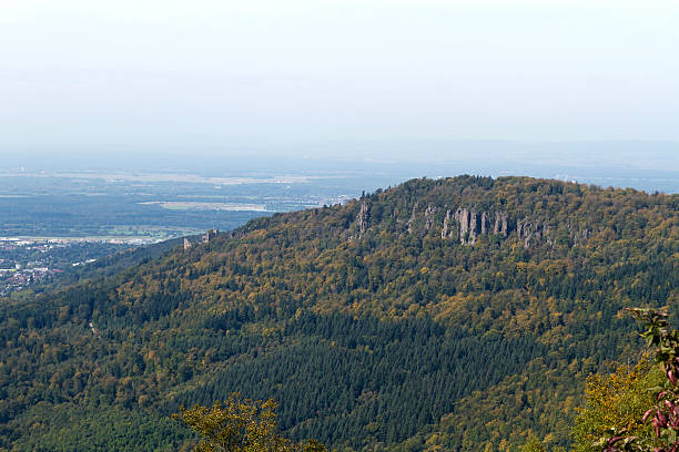 istock Panorama view from summit Merkur to Baden-Baden, Germany 517216695