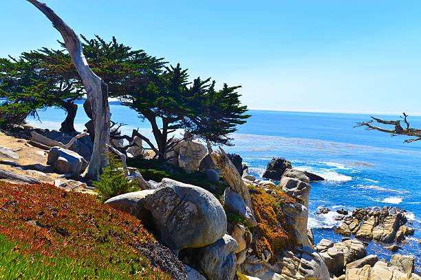 istock California Coastline 517216941