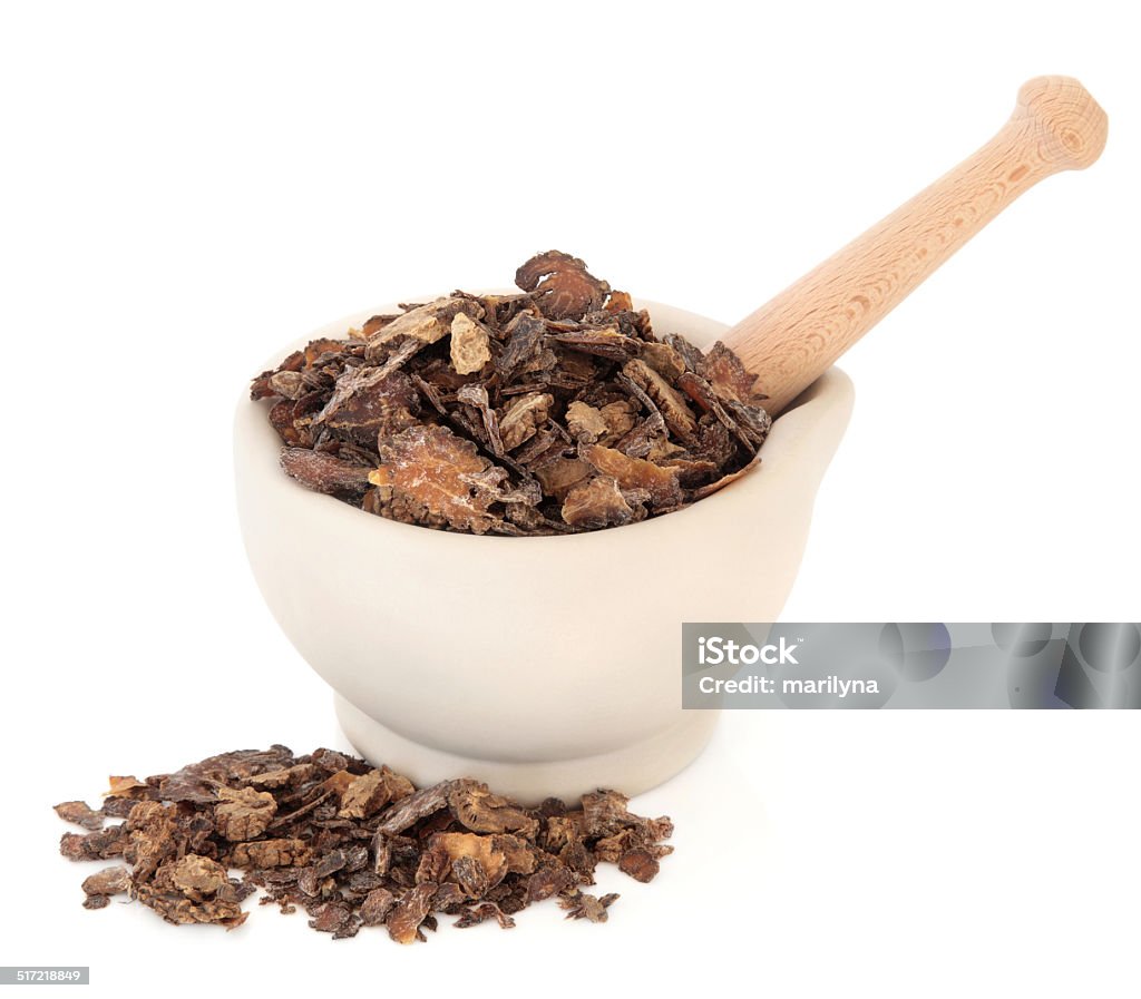 Szechuan Lovage Root Szechuan lovage root chinese herbal medicine in a stone mortar with pestle over white background. Chuan xiong. Lovage Plant Stock Photo