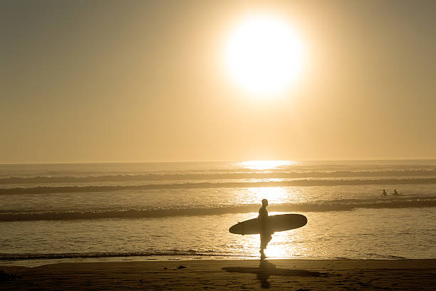 istock surfer walks in the sunset 517220959