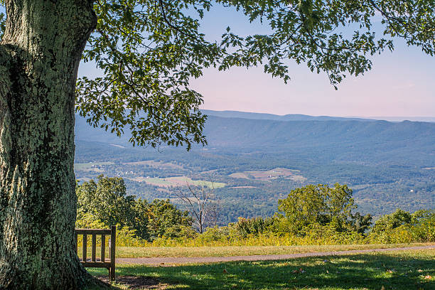 istock Wooden bench under tree overlooking Shenandoah Valley. 517222267