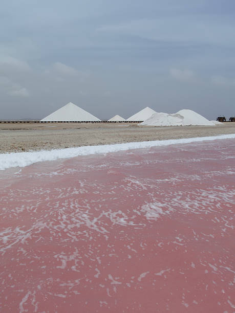 istock rose salt mining lake caribbean Bonaire island 517224786