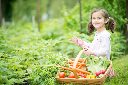 A little girl is holding a basket full of vegetables after gardening outside.