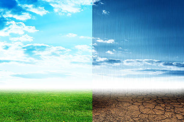 istock Two tipes of nature 517228334