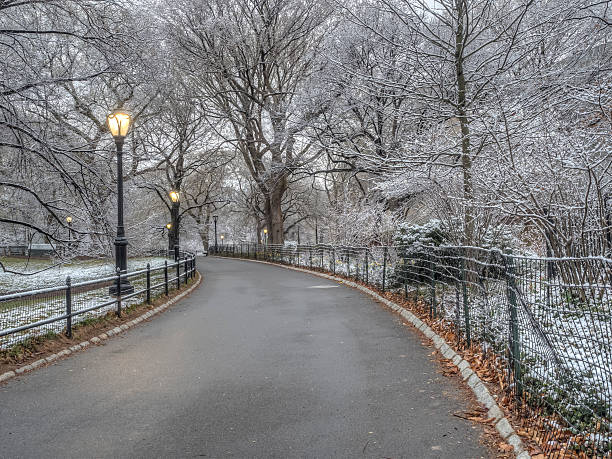 istock Central Park, New York City snow storm 517228346