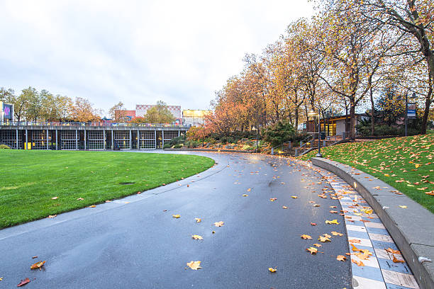 istock empty footpath in park near space needle in seattle 517228510