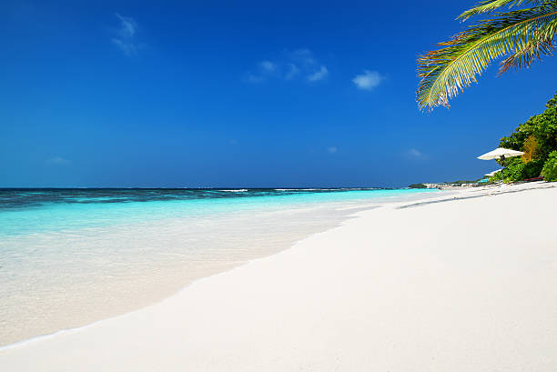 istock Sunny tropical beach and white sand 517231690
