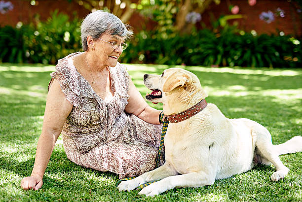 istock He's been my companion for years 517233652