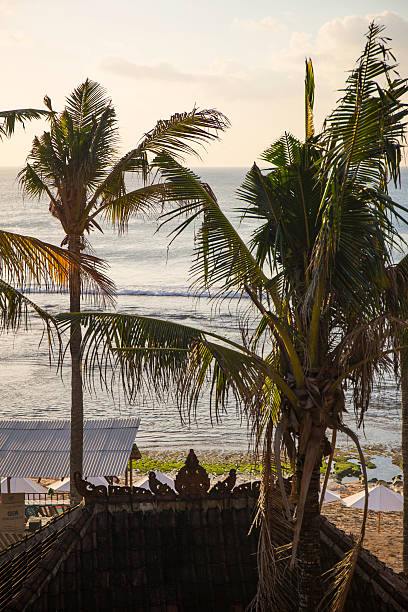 istock Palms and Ocean in Bali's beach 517234439