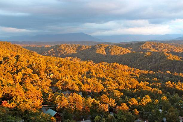 istock Fall in the Tennessee Mountains 517234793