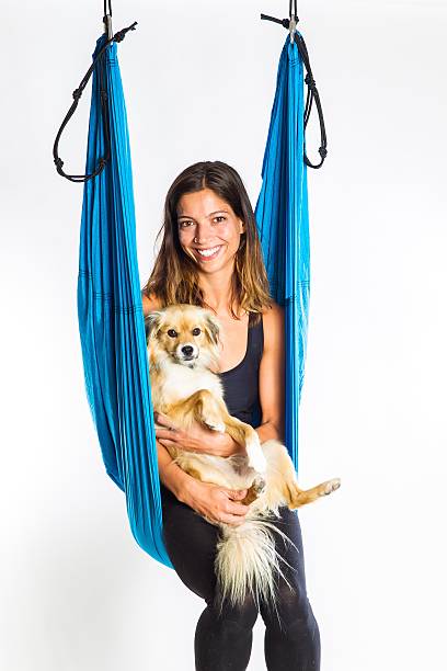Young woman doing anti-gravity aerial yoga in hammock stock photo