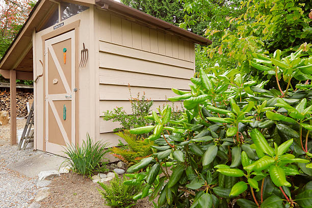 istock Backyard garden with small shed 517235477