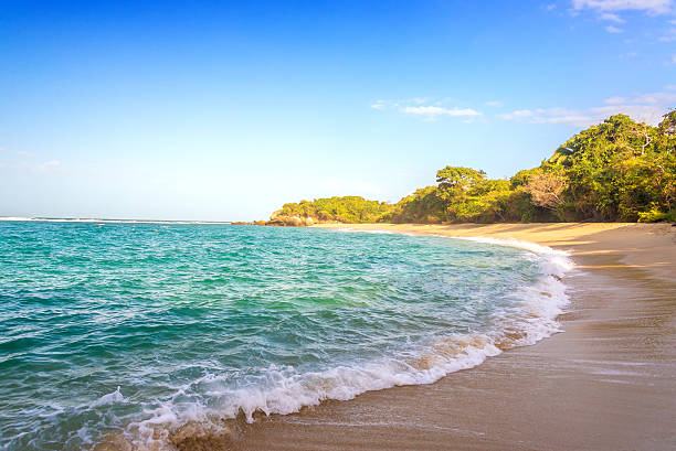 istock Beach in Tayrona National Park 517235653