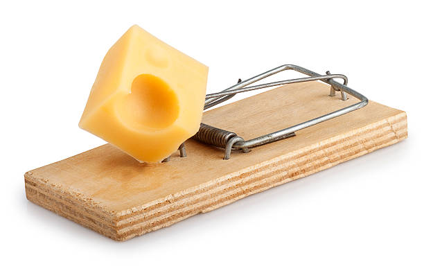 istock Mousetrap with cheese isolated on white 517235714