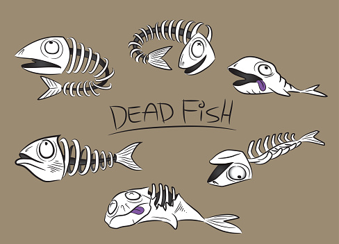 dead fish bones vector illustration