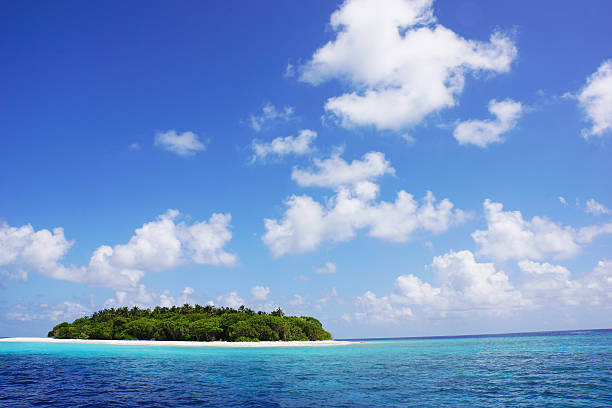 istock Seascape Serenity Dream 517235900