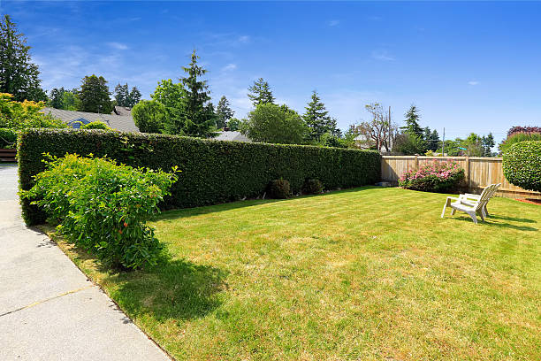 istock Front yard with sitting area and trimmed hedges 517237189