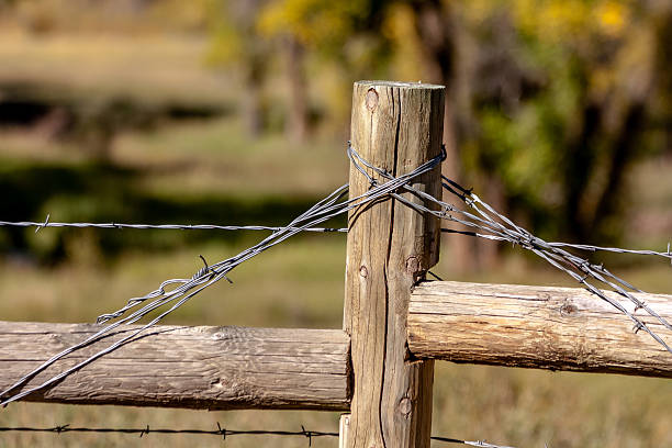 istock Fall in Steamboat Springs Colorado 517237241