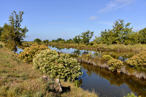 Marshes in the Bay of Arcachon near Audenge, commune in the Gironde department in southwestern France