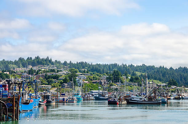 boote und häuser - newport oregon stock-fotos und bilder