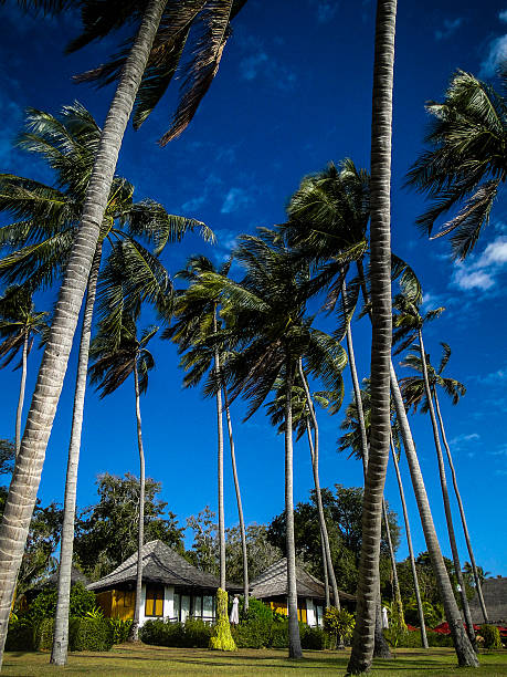 istock bungalow under coconut palm. blue sky 517241139