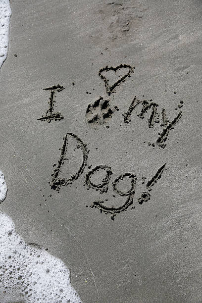 istock I love my dog 517241851