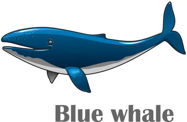 Vector illustration of Cartoon blue whale